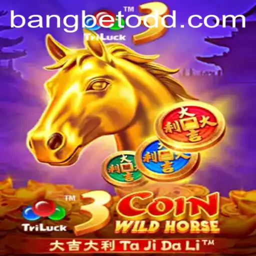 bangbet Casino App