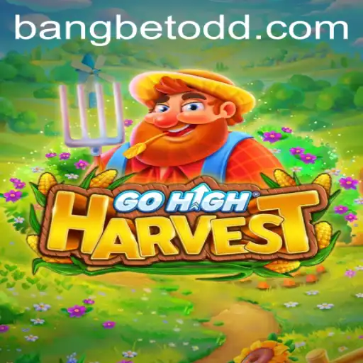 bangbet Casino Withdrawal